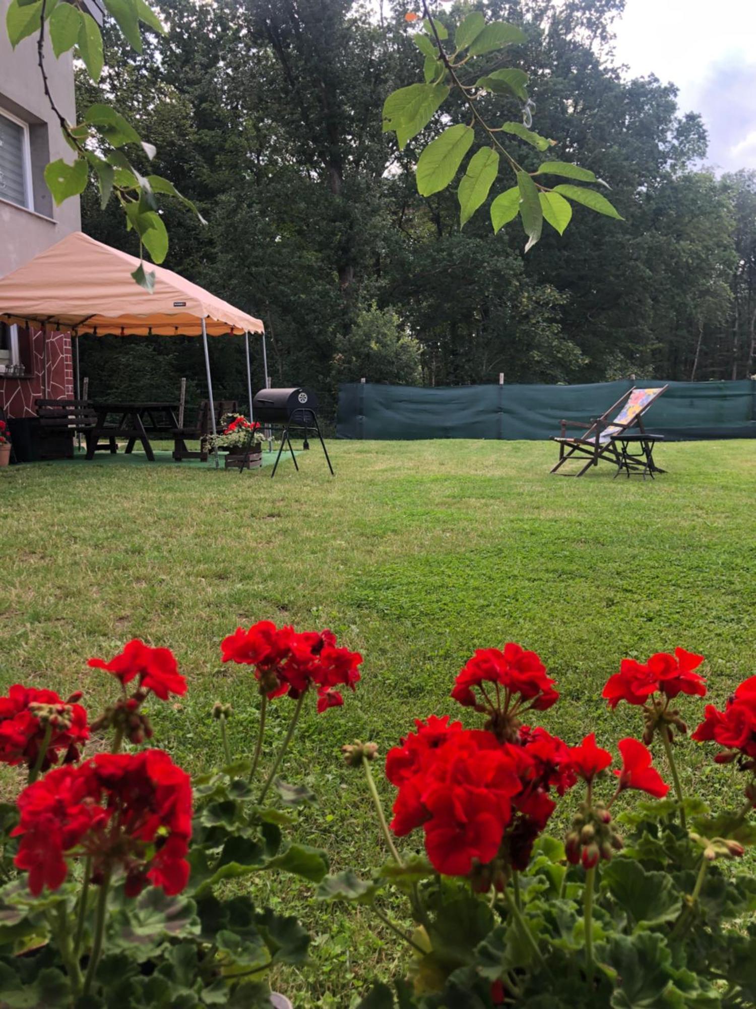 Sloneczne Wzgorze Lagow (Swiebodzin)